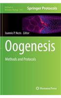 Oogenesis