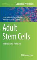 Adult Stem Cells