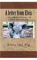 A letter from Elvis - the jottings of a very special pig.