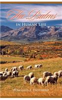 The Psalms in Human Life: (English)