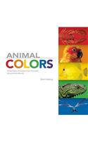 Animal Colors
