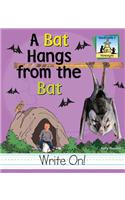 Bat Hangs from the Bat