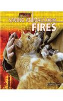 Saving Animals from Fires