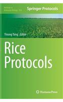 Rice Protocols