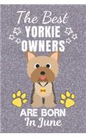 The Best Yorkie Owners Are Born In June