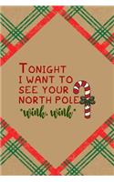 Tonight I Want To See our North Pole *wink, wink*