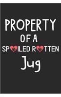 Property Of A Spoiled Rotten Jug: Lined Journal, 120 Pages, 6 x 9, Jug Dog Gift Idea, Black Matte Finish (Property Of A Spoiled Rotten Jug Journal)