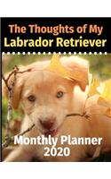 The Thoughts of My Labrador Retriever