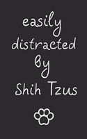 Easily distracted by Shih Tzus