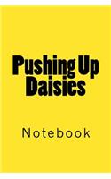 Pushing Up Daisies