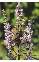 Vitex Agnus Castus Mok Pepper Journal: Take Notes, Write Down Memories in this 150 Page Lined Journal