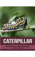 Caterpillar: Fun Facts & Cool Pictures