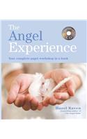 The Angel Experience