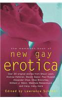 The Mammoth Book of New Gay Erotica: An anthology of literary fiction (Mammoth Books)
