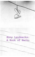 Bony Landmarks