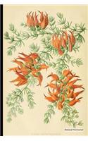 Botanical Print Journal
