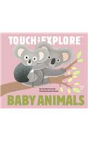 Touch and Explore: Baby Animals