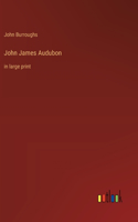 John James Audubon: in large print