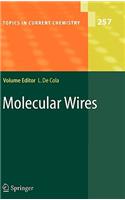 Molecular Wires