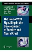 The Role of Wnt Signalling in the Development of Somites and Neural Crest