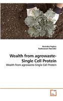 Wealth from agrowaste-Single Cell Protein