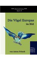 Vögel Europas im Bild