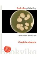 Candida Albicans