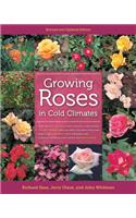 Growing Roses in Cold Climates