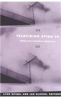 Television after TV