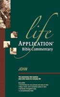 John: Lab Comm(Life Application Bible Commentary)