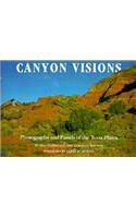 Canyon Visions