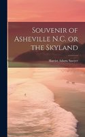 Souvenir of Asheville N.C. or the Skyland