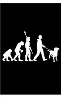 Labrador Evolution