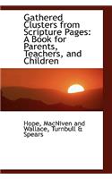 Gathered Clusters from Scripture Pages: A Book for Parents, Teachers, and Children(English)