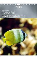 Colorful Reef Inhabitants 2017: Tropical Reefs Provide a Wide Variety of Animals and Colors(Calvendo Animals)