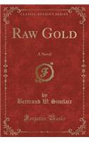 Raw Gold: A Novel (Classic Reprint)