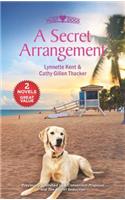 A Secret Arrangement
