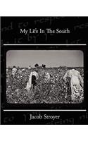 My Life In The South