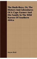 Bush-Boys, Or, the History and Adventures of a Cape Farmer and His Family in the Wild Karoos of Southern Africa