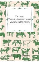 Cattle