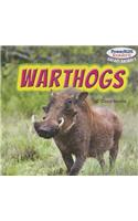 Warthogs