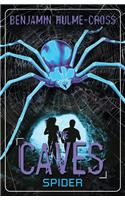 The Caves: Spider: The Caves 3(High/Low)
