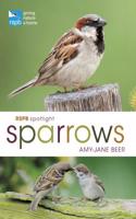 Rspb Spotlight Sparrows