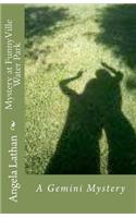 Mystery at FunnyVille Water Park: Gemini Mysteries Series
