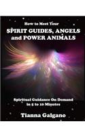 How To Meet Your SPIRIT GUIDES, ANGELS and POWER ANIMALS