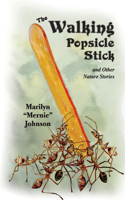 Walking Popsicle Stick