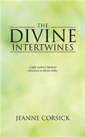 Divine Intertwines: A light-worker's Spiritual Adventure in Silicon Valley