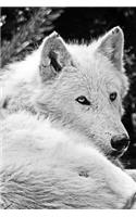 MindBlowing Wolf Journal 10: 150 page lined journal