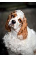 Spaniel Notebook & Journal. Productivity Work Planner & Idea Notepad: Brainstorm Thoughts, Self Discovery, To Do List