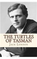 Turtles of Tasman